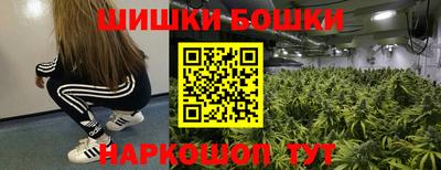 дживик Кингисепп