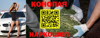 стафф Кимры