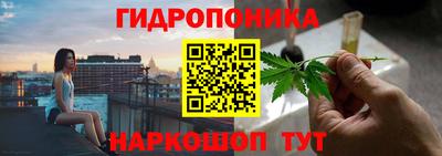 дживик Кингисепп