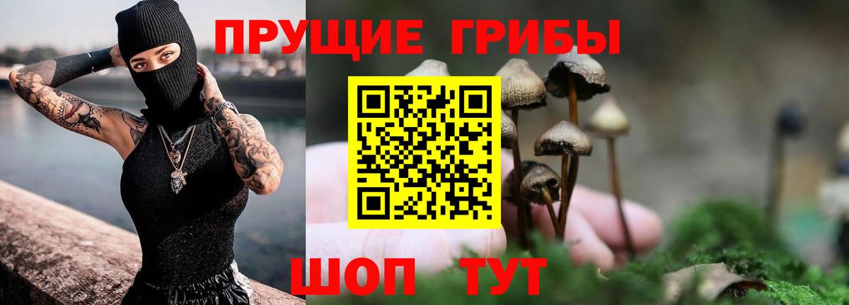 Галлюциногенные грибы прущие грибы Кубинка