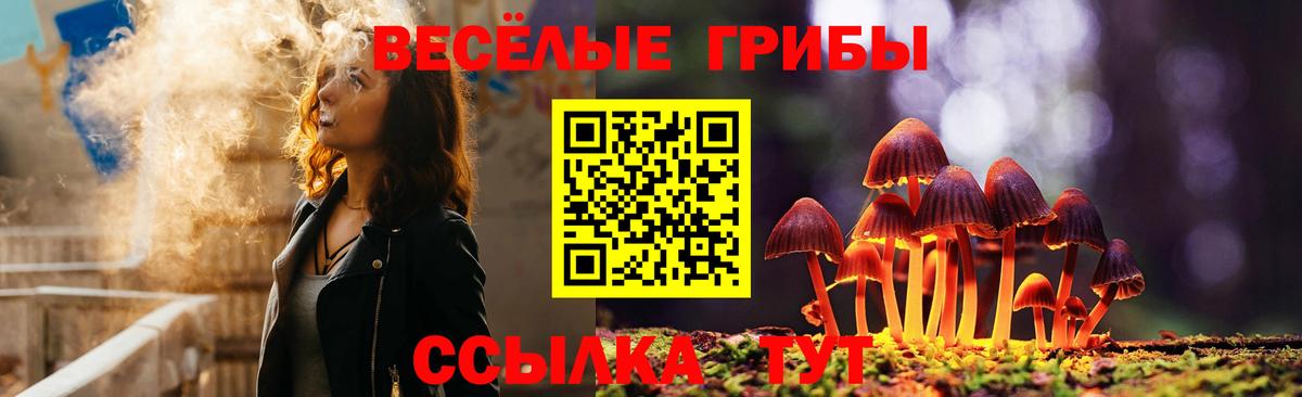 Кубинка  Галлюциногенные грибы Psilocybe  Вход с VPN 